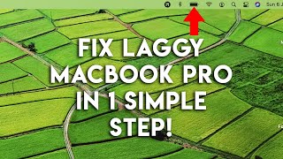 How to Improve Performance of Laggy Macbook Pro running on Catalina/BigSur in 1 SIMPLE STEP!