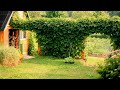 🌺Удивительные идеи для воплощения в своём саду / Amazing garden ideas / A - Video
