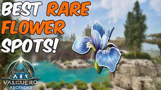 Where to Find Rare Flowers on the Valguero Map: Top 4 Spots | ARK Survival Ascended