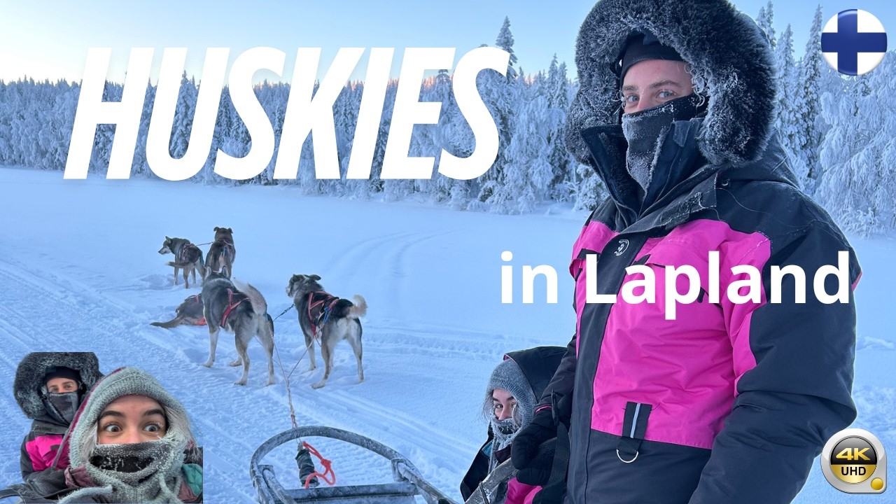 Мы замерзли от катания на собачьих упряжках | Лапландия - Финляндия