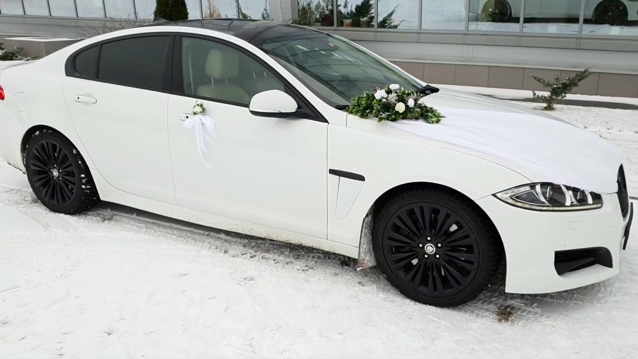 Белый jaguar xf