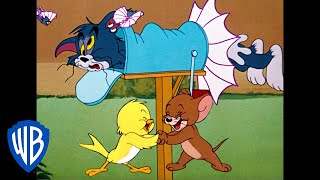 Tom y Jerry en Español | ¡P-p-p-pájaros! | WB Kids