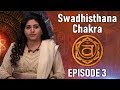 Chakra yog  episode 3  sakhashree neeta  swadhisthana chakra