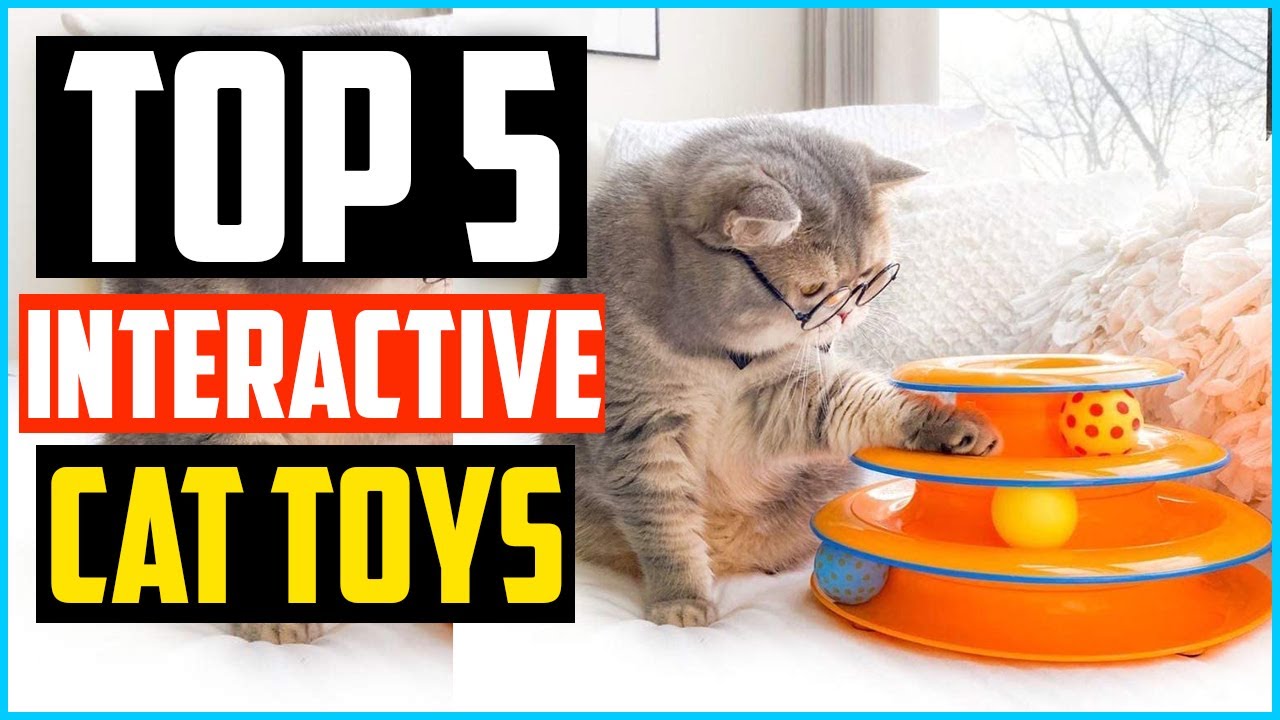 best cat interactive toys