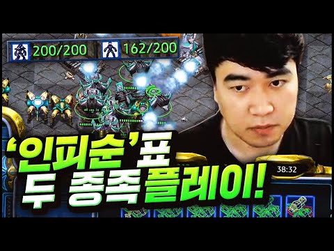 &amp;#39;인피순&amp;#39; 표 두 종족 가볼까?