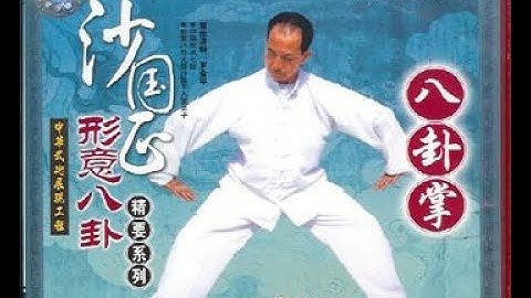 Jiang style Bagua Palm