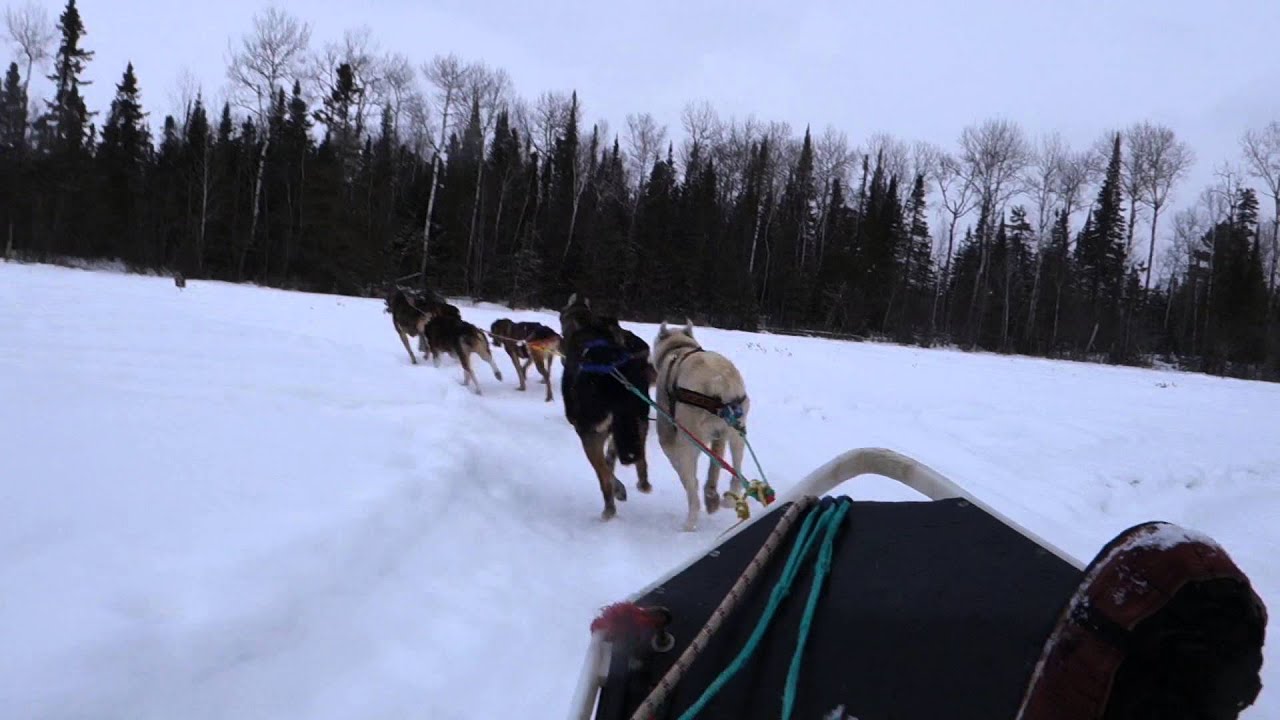 Minnesota Trip Dog Sledding and Ice Fishing YouTube