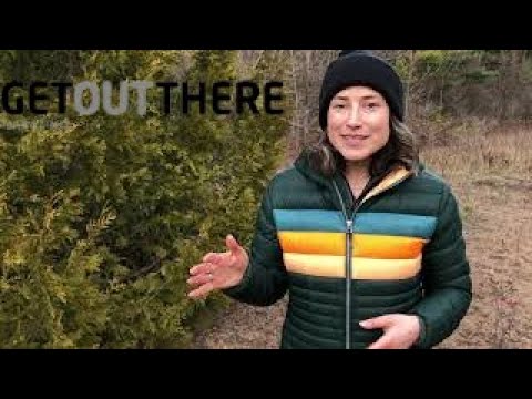 Cotopaxi Fuego down