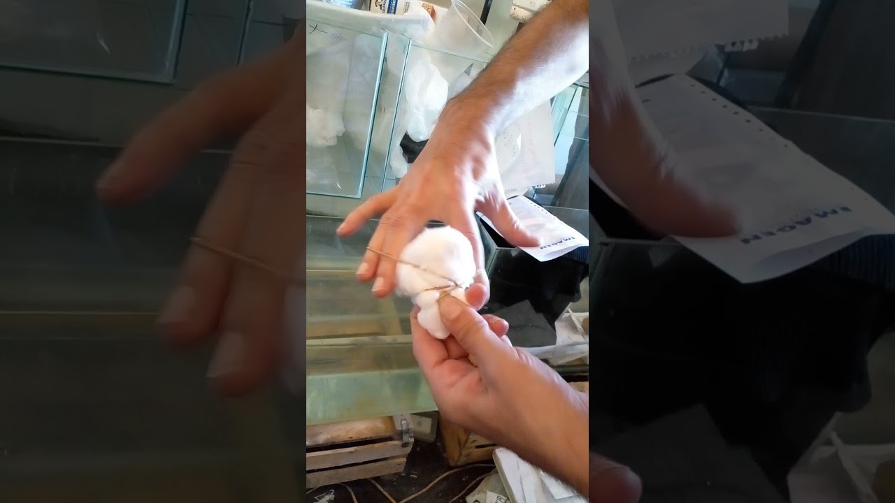 Filtro casero para alevines