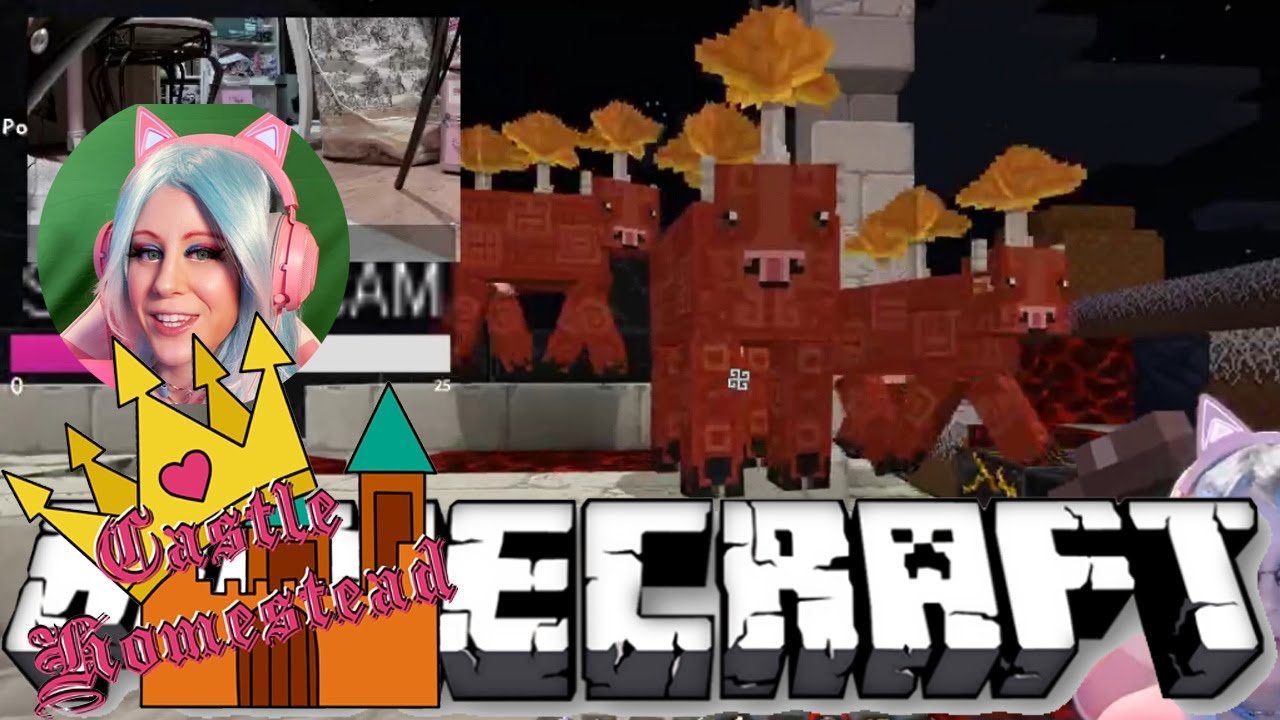 Vacation Home - Castle Homestead in Let's Play Castle Homestead Series Episode 22