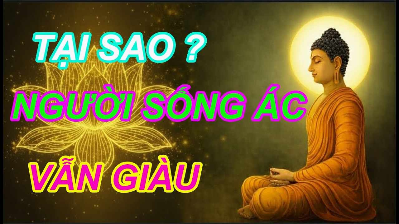 NHÂN QUẢ Ở ĐÂU - Sao Người Sống Ác Vẫn Giàu | Diệu Pháp Tâm #11