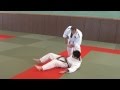 Jujitsu 20 techniques  a2
