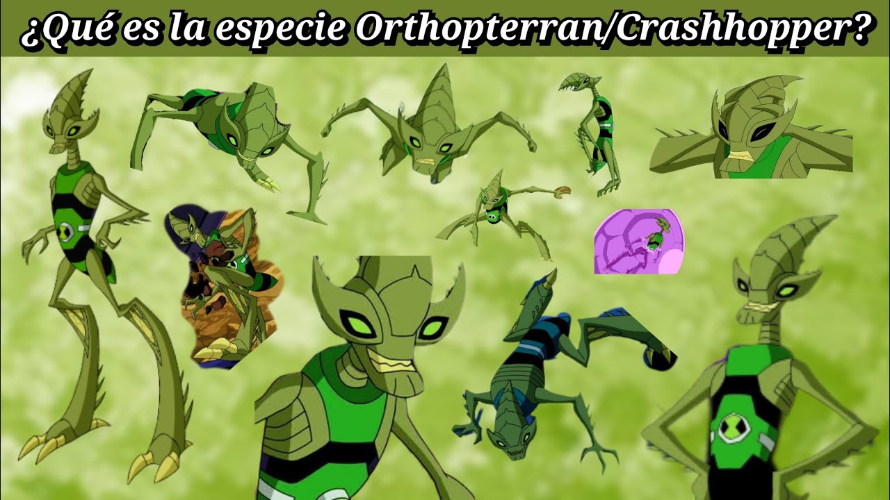 CRASHHOPPER en Ben 10 Todo sobre la especie  ORTHOPTERRAN - Explicación Aliens Omnitrix Omniverse