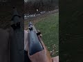 Ruger 10/22 (best plinking rifle)?