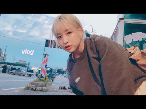 VLOG 버스-택시 무한 반복.. 왕복 12시간 걸리는 시골 다녀옴