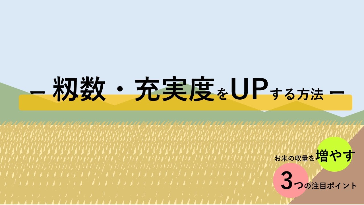 米 の 収量 を 増やす 方法