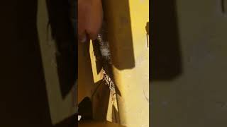 How to start a 1974 D6C Caterpillar