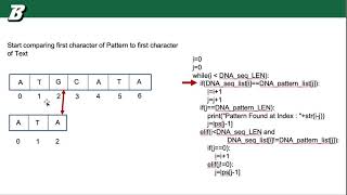 DNA Pattern Matching Algorithms