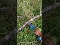 Reciprokating Saw#shorts,сабельная пила#aliexpress#tiktok#top#video#viral#cool#shortvideo#short#дача