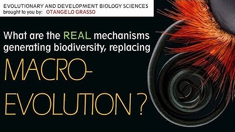 What are the REAL mechanisms of biodiversity, replacing macroevolution?