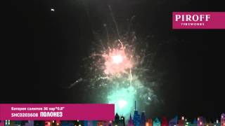 SHC0203608  ПОЛОНЕЗ avi