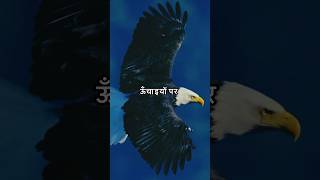 On the heights || 🔥🔥☠️ Powerful Motivational Status || Eagle 🦅 sound #shorts #motivational
