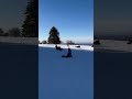 🛷 🛷 Snow much fun.! #germany #deutschland #winter #sledding