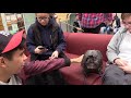 Therapy Dogs help stressed students