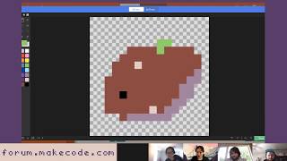 MakeCode Arcade Advanced - How not to TRAIN your rabbit