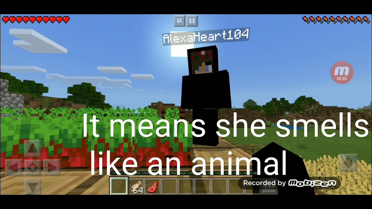 Minecraft animal kingdom :IDK TwT - YouTube