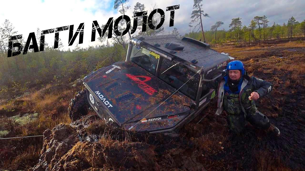 Осаго на багги