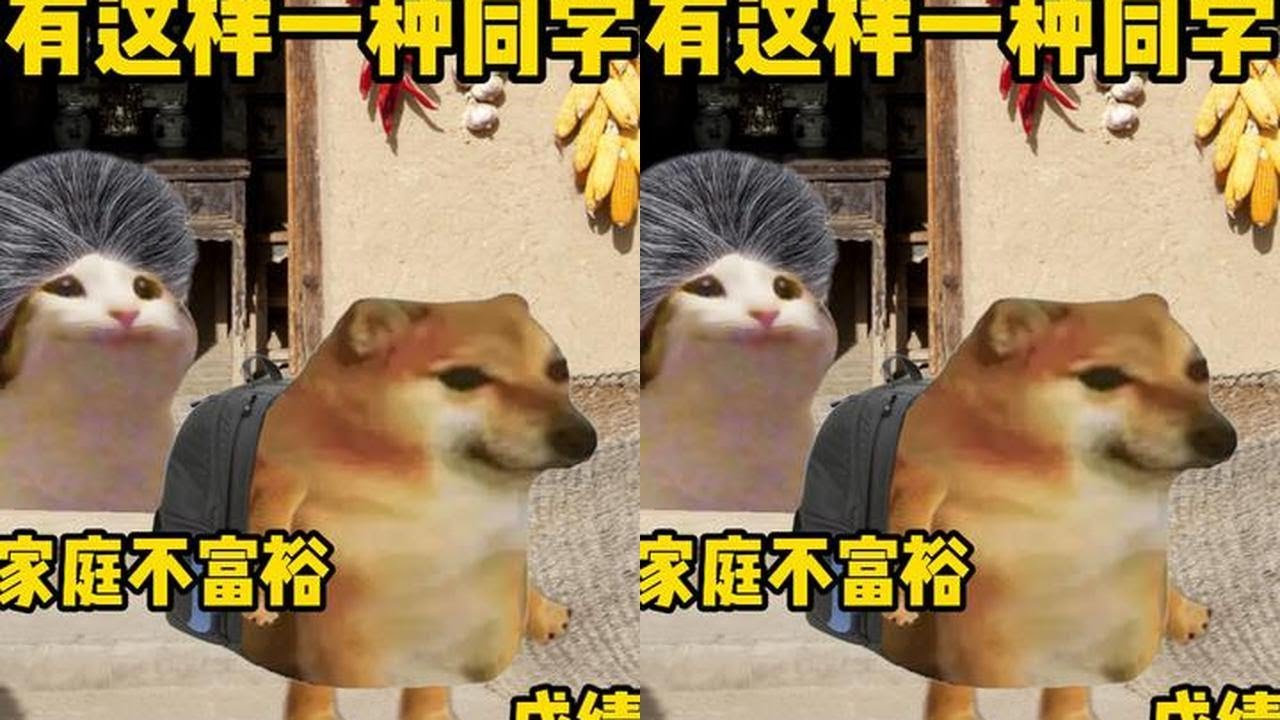 有这样一种同学 #cheems #cheems小剧场 #校园