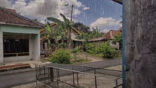 Heavy Rain in Kebumen Village Area | Rainy Day In Indonesia | ASMR Rain Walk and Frog Sounds