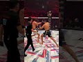 Этот узбек может стать следующим чемпионом! #octagon #mma #fighting