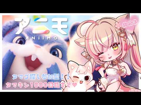 【#Aniimo ｜#23】タマゴ探し参加型.ᐟ.ᐟタマゴキング1000目指して😼✨初見さんも気軽に💖　【  Vtuber┊アニモ 】
