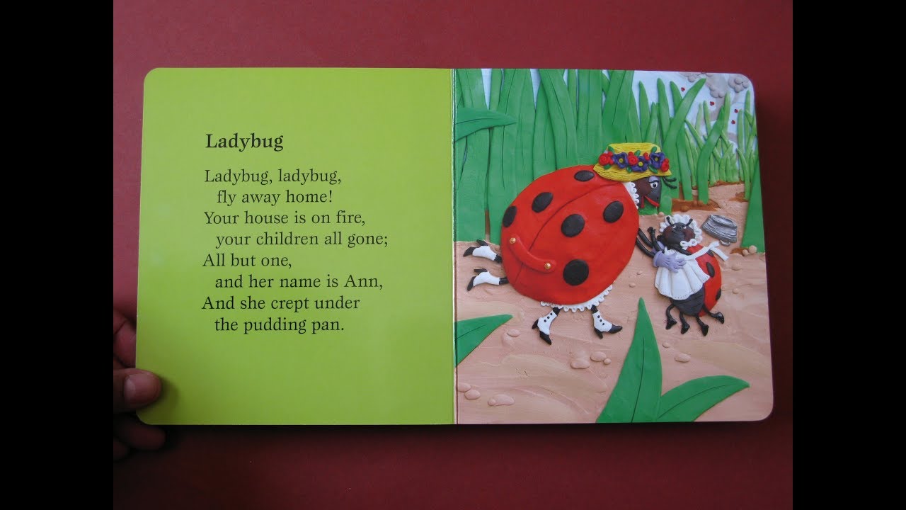 Ladybug, ladybug, fly away home.