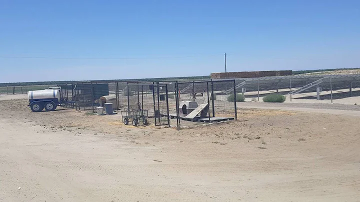 Virtual tour of McFarland Ca Shelter.  by Alvie Ba...