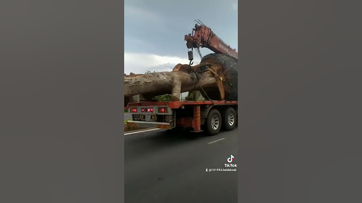 A em ai yeu thíc xe cẩu tự hàh dăng ky kên hải cho xem nhiều kinh nghiệm về xe tự hành