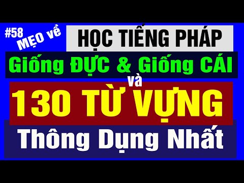 Video Lớp Học Tiếng Pháp 58 : Học thêm 130 Từ Vựng Quan... - youtube