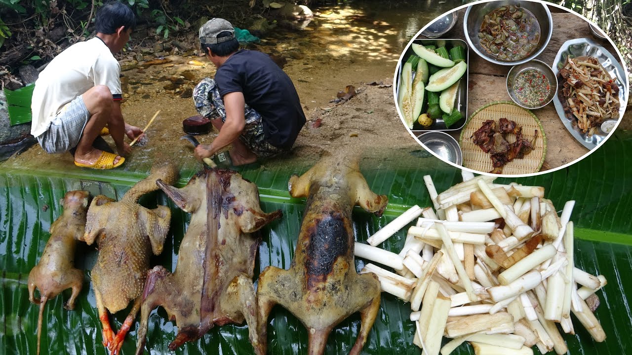 VÀO RỪNG KIẾM ĂN, ĐÁNH BẪY, SĂN BẮT, CUỘC SỐNG TRONG RỪNG - T4