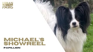 Michael (Papillion) Showreel by Urban Paws Agency and Urban Paws Ireland 11 views 1 month ago 7 minutes, 8 seconds