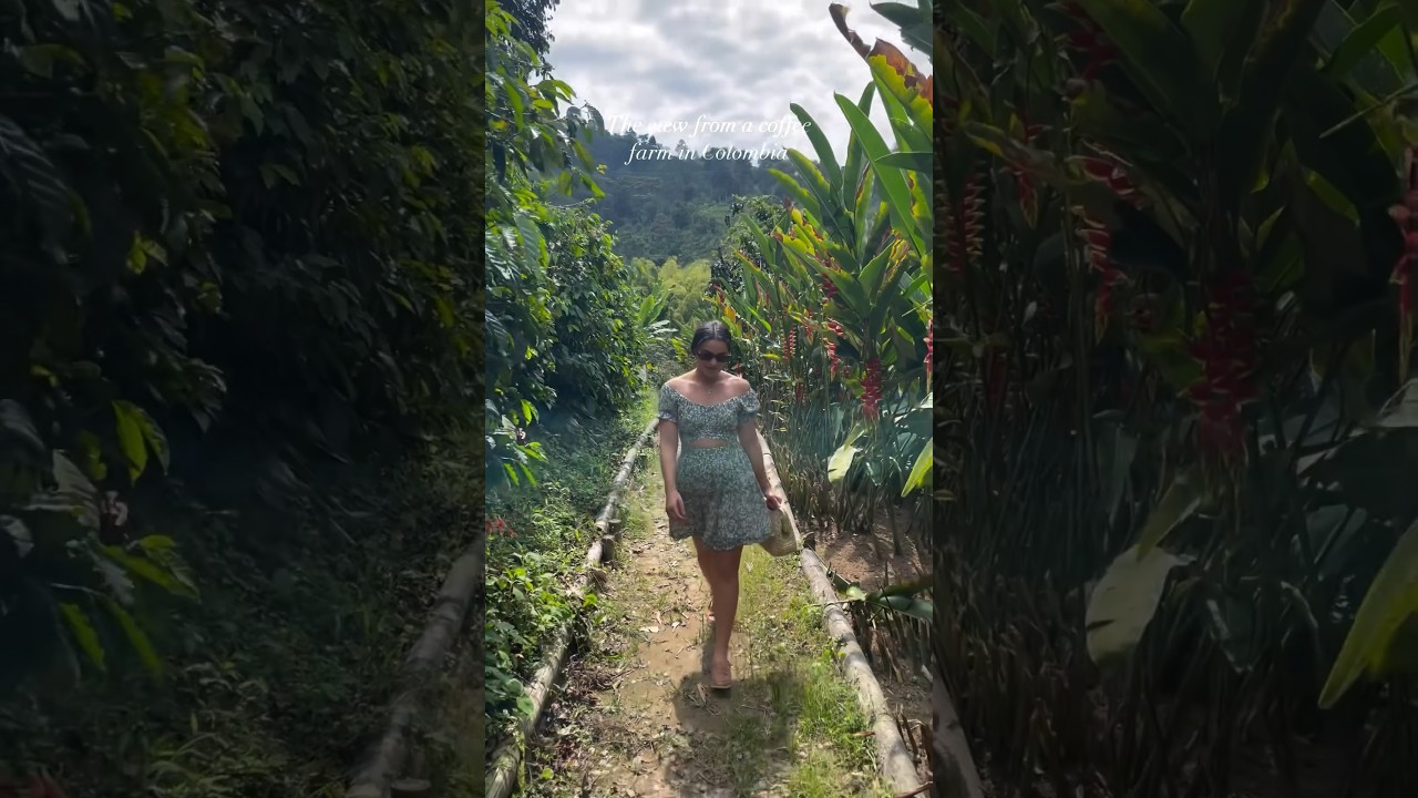 Nothing like coffee fresh from a Colombian coffee farm ☕️🌿