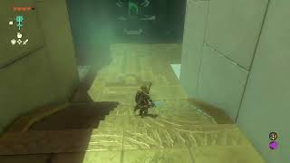 Celebrity 1.1.0 Item/Weapon Smuggling Glitch in TotK! Profile