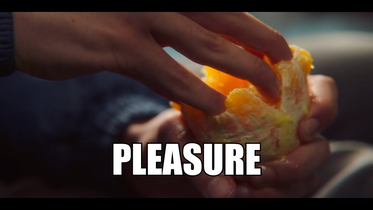 "Pleasure" — Sex Ed and Chill — Sex Education Season 2 Episode 2