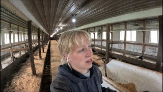 Cows Are Tearing Up The Milking Barn And A Leaky Loader Solved