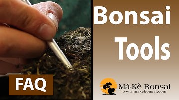 111) Bonsai Tools for Beginners   Which One