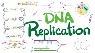 DNA replication in Prokaryotes & Eukaryotes (DETAILED) | Molecular Biology  & Biochemistry