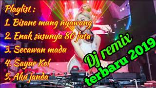 Dj Remix Terbaru 2019 1 jam non stop
