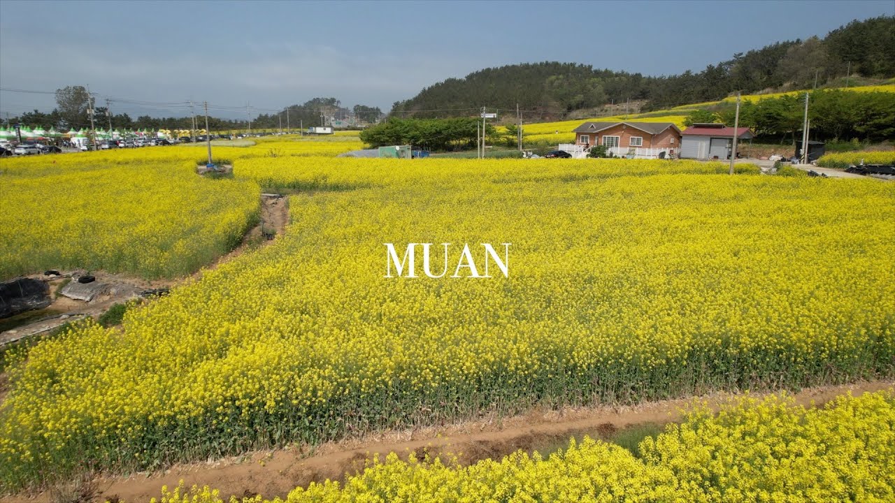 Flying Over South Korea Muan YouTube