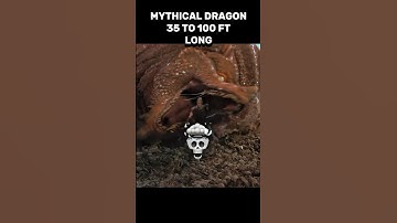 GOJIRA VS MULTIVERSE SIZE COMPARISON #shortsvideo #edit #animals #edit #shortsviral #shorts